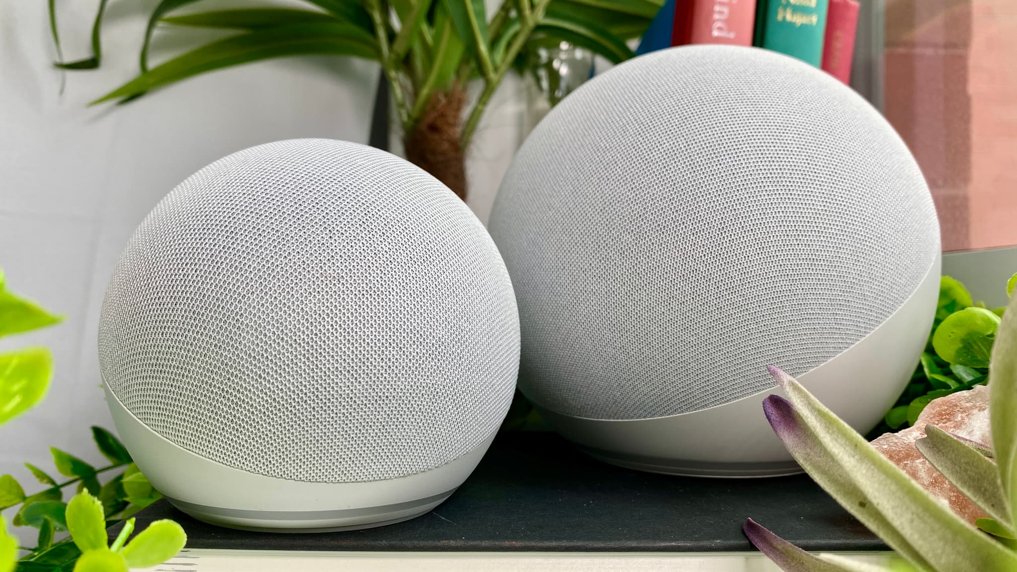 echo dot vs echo pop
