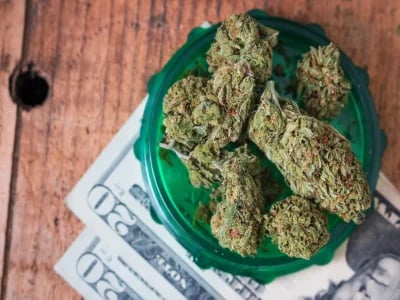Direkt online kaufen und sofort Cannabis Samen bestellen