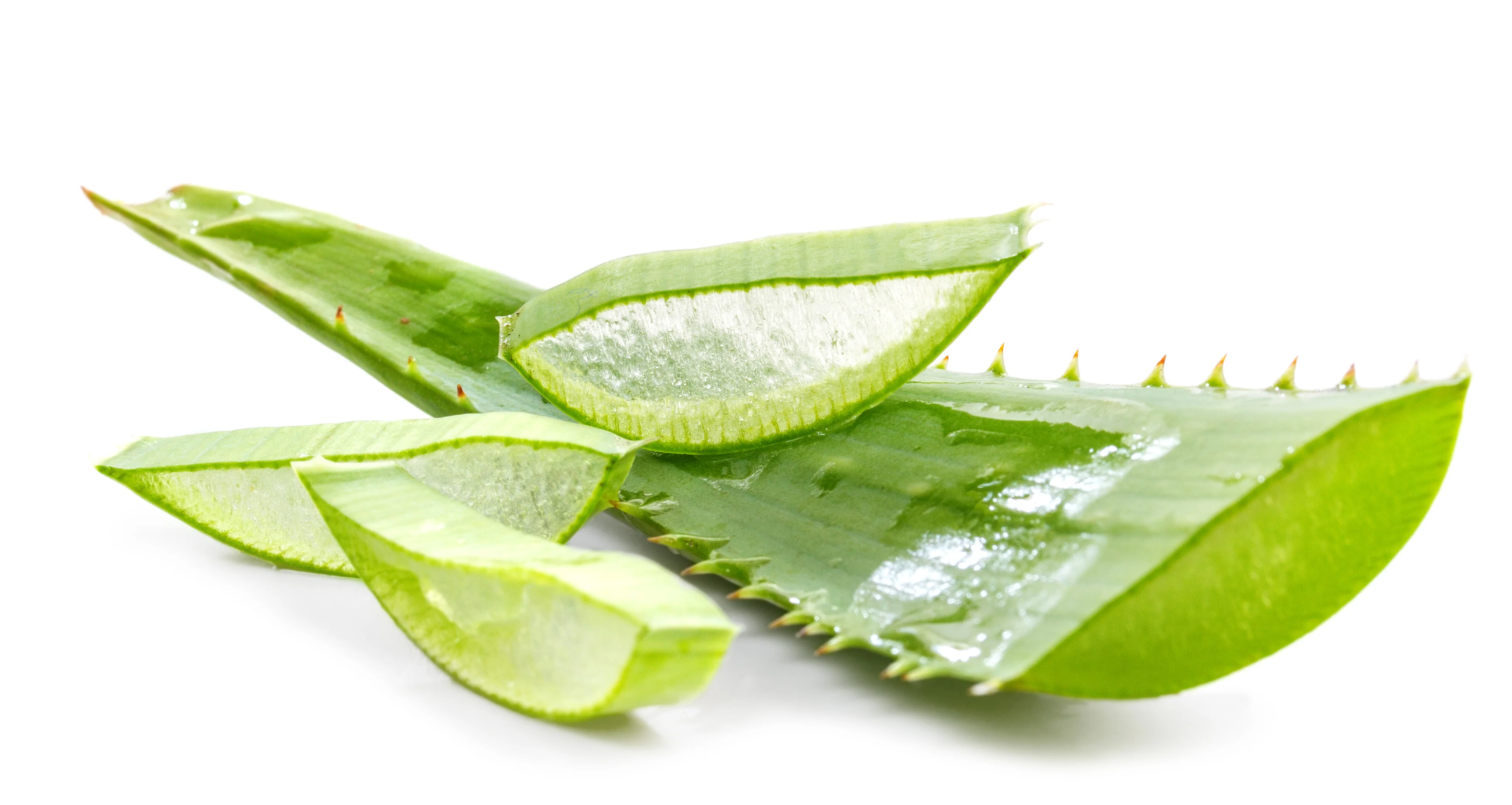 So hilft Aloe Vera Ever Shield Unabhängigen Distributoren von Forever Living Products zu mehr Erfolg