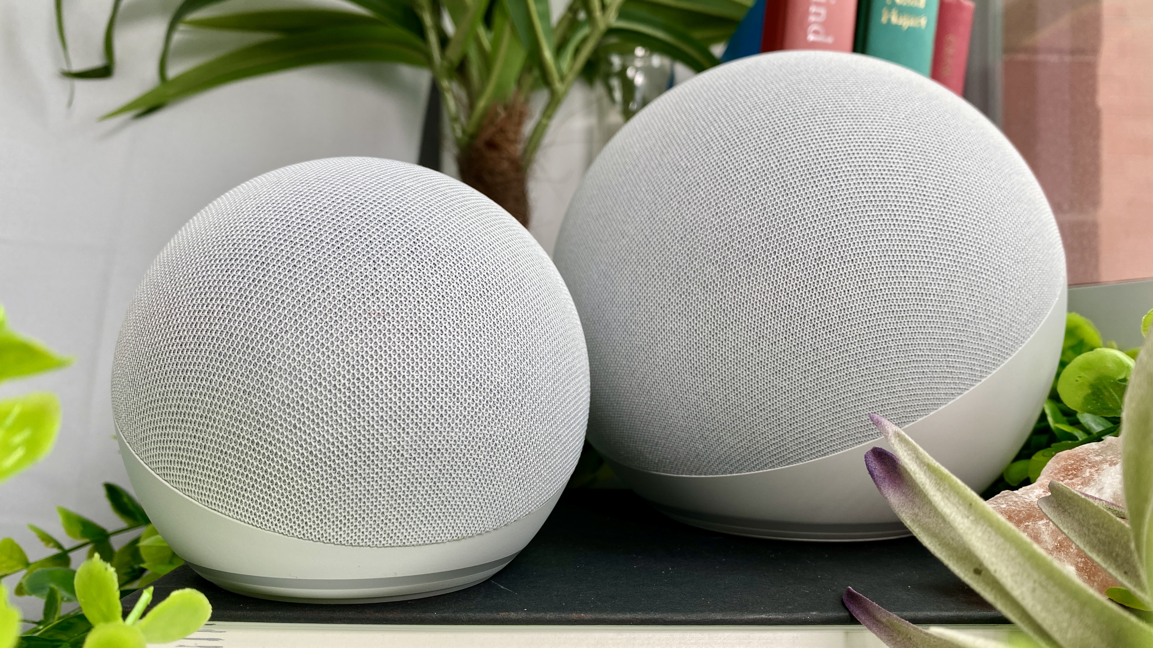 echo dot vs echo pop