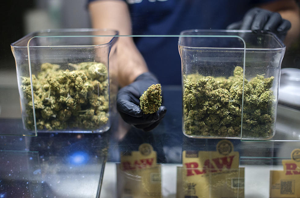 Direkt online kaufen und sofort Cannabis Samen bestellen